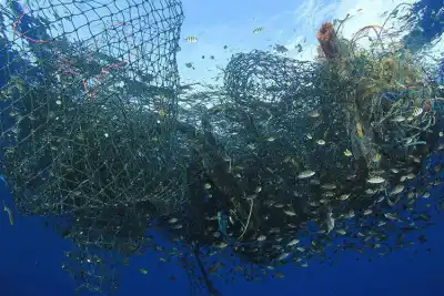 A Fishy Business - Why Even “Sustainable” Fish Can Still Be Unethical