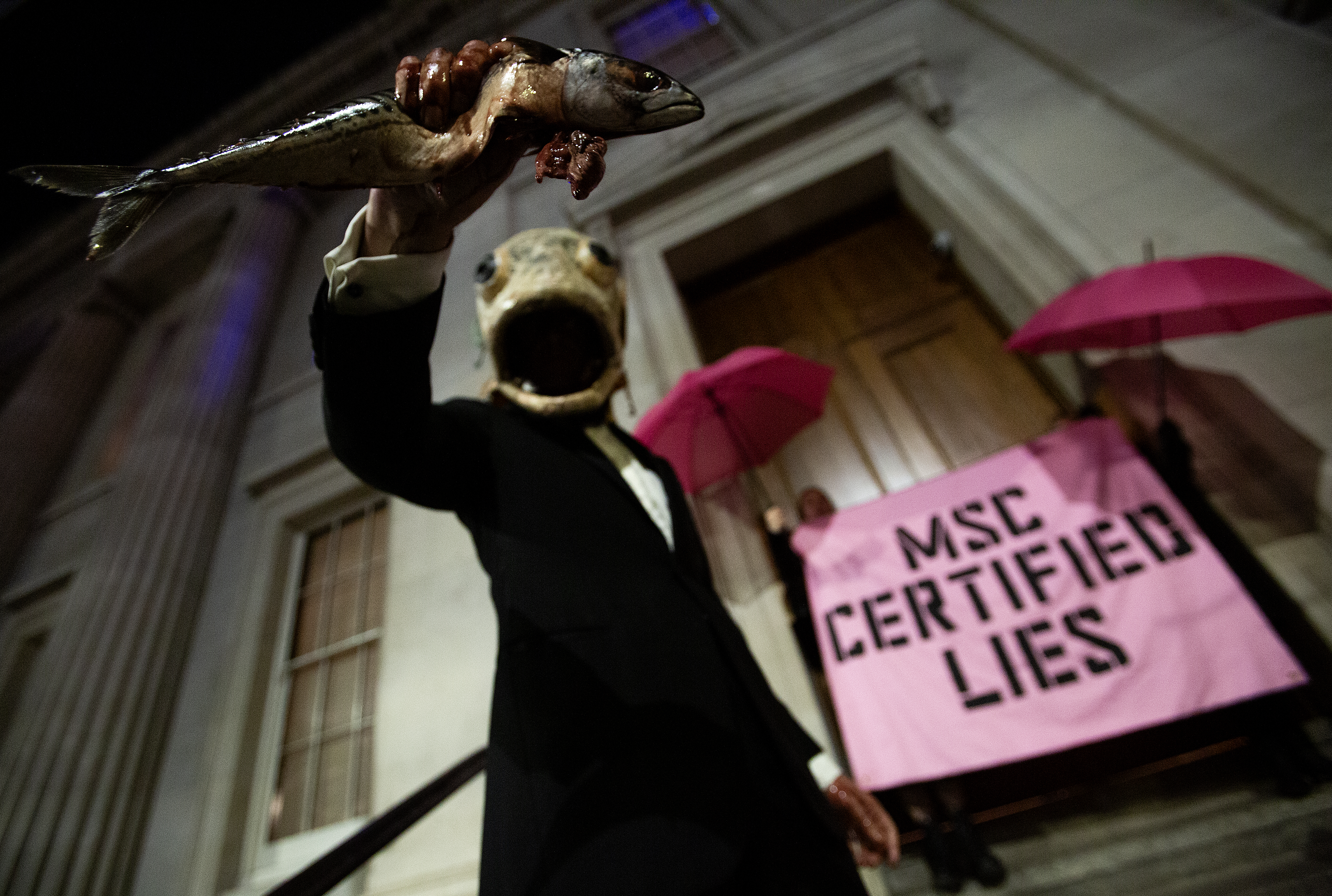 Photo credit - Ocean Rebellion