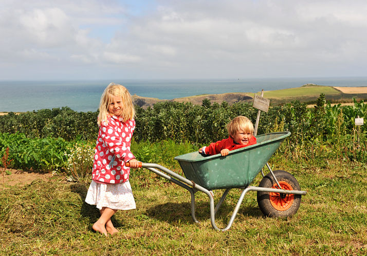 Community Supported Agriculture blooming in the UK