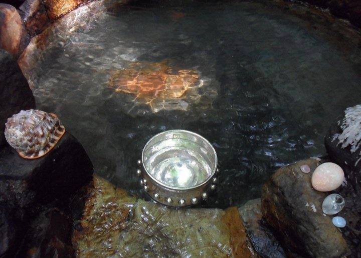 The Fellowship of the Spring