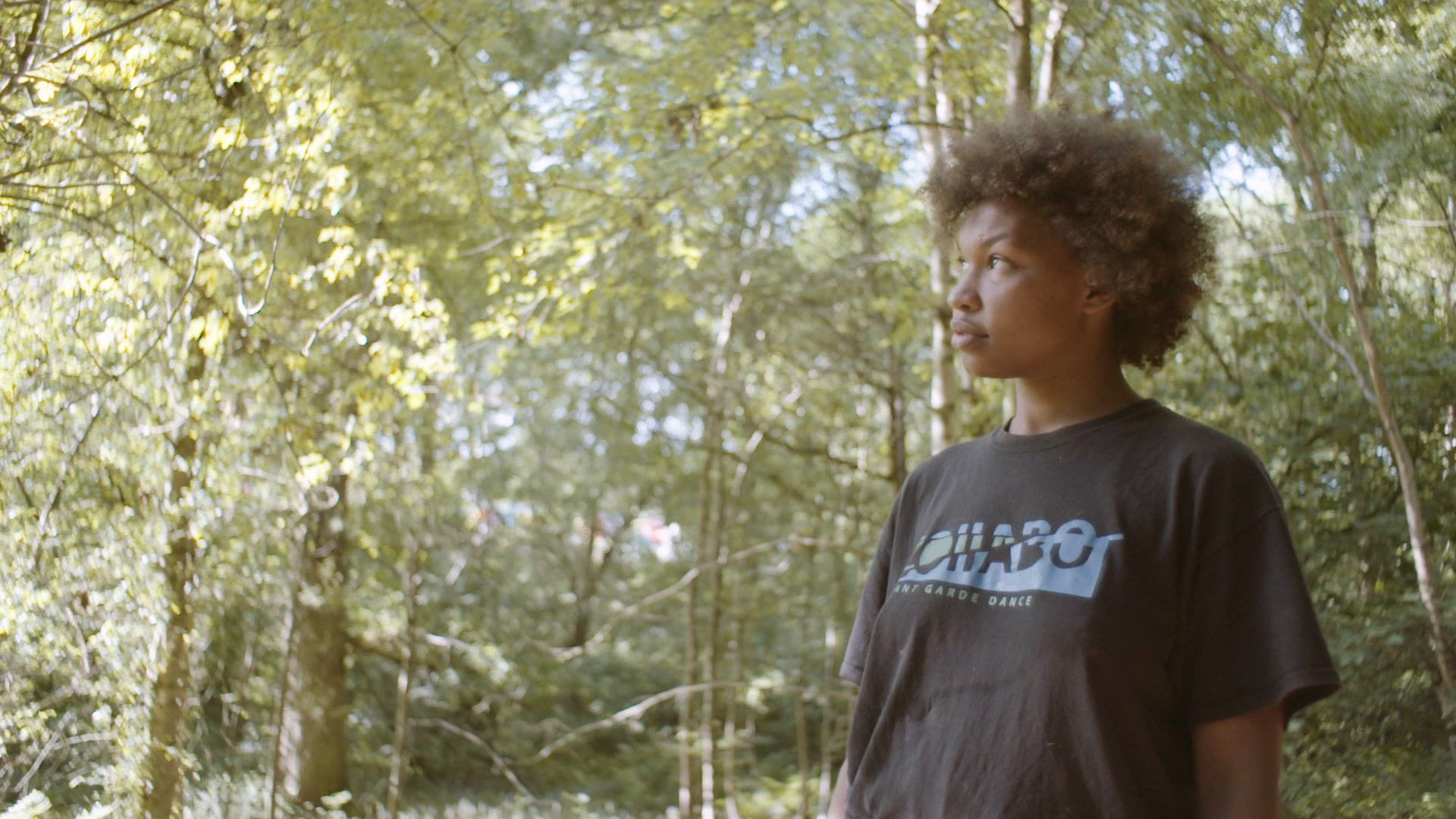 If you go down to the woods today…