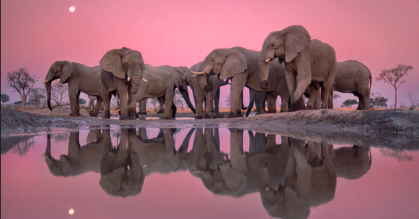 The top 3 eco talks on TED