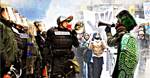 To fight or not to fight