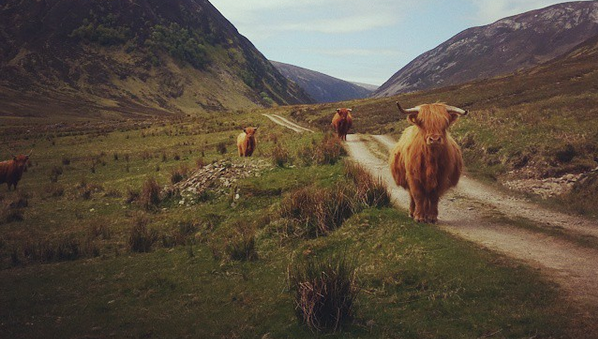 Alladale - a rewilding adventure