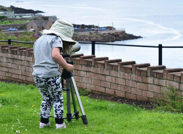 Volunteer citizen scientists invited to survey cetaceans in British and Irish waters