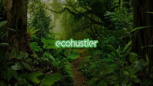 Team Ecohustler