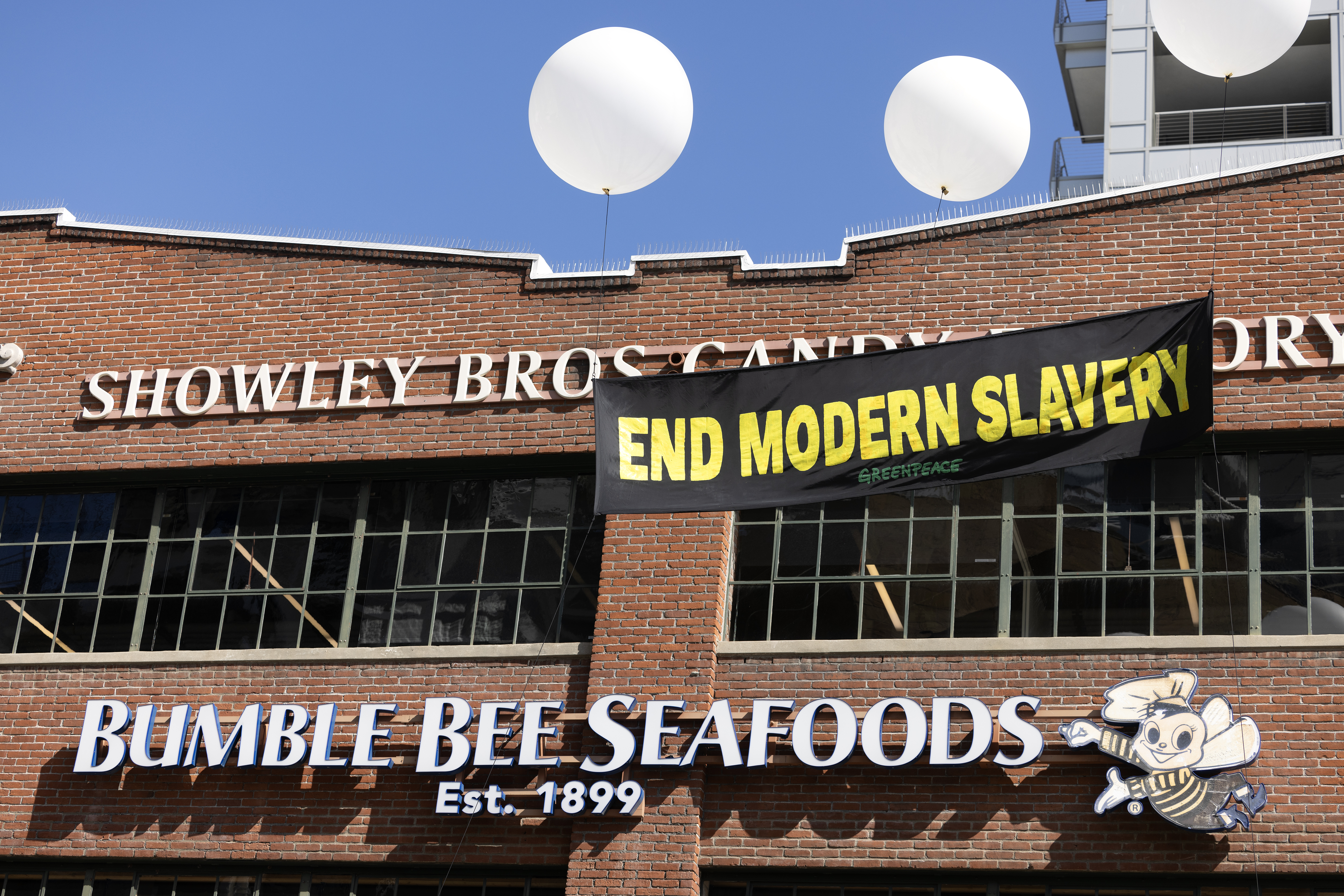 PHOTO CREDIT: Hayne Palmour IV / Greenpeace