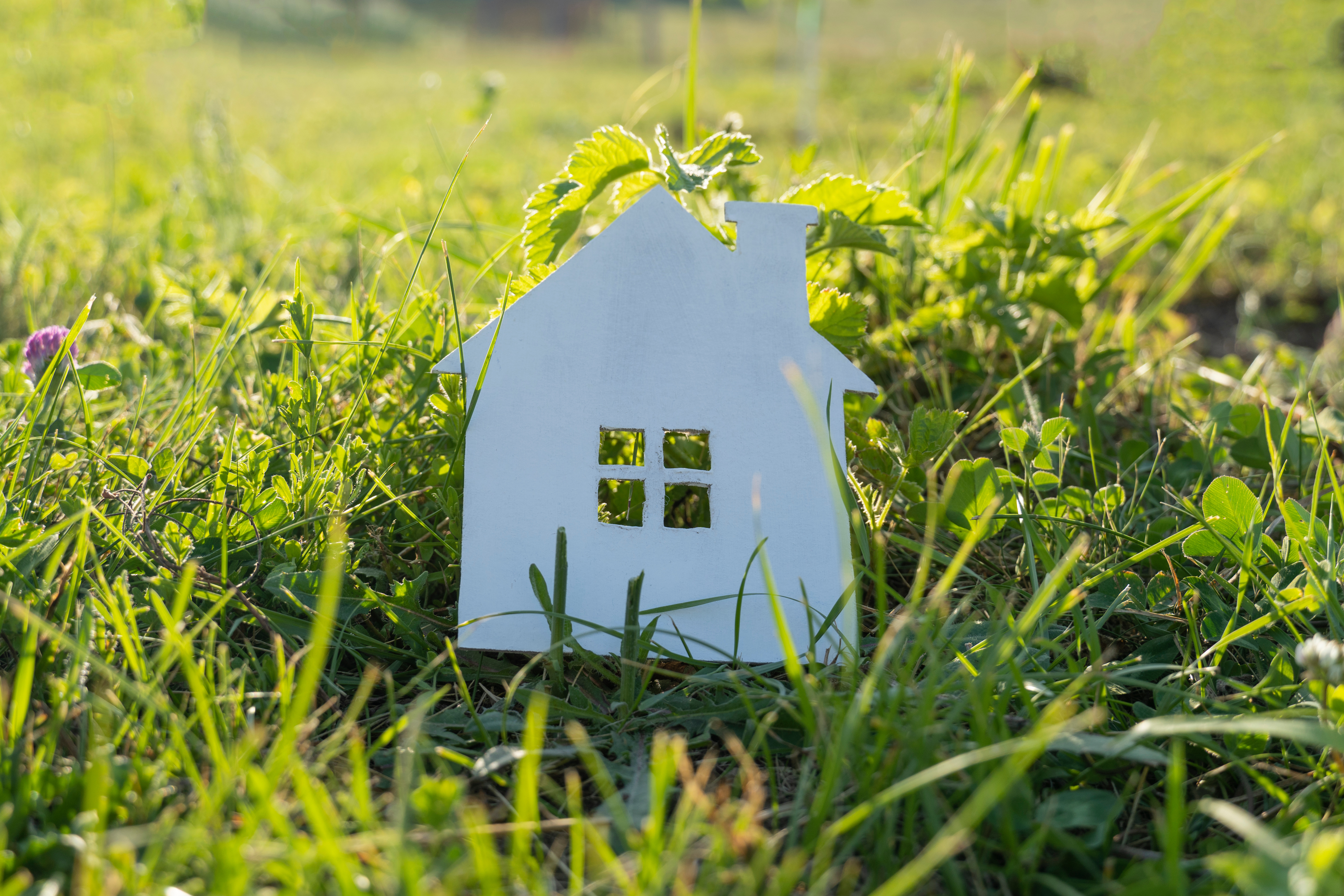 Cutting household emissions through eco-homes