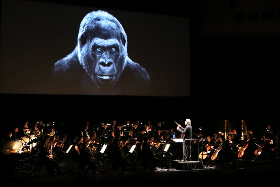 How are your relationships with Other Than Humans ?