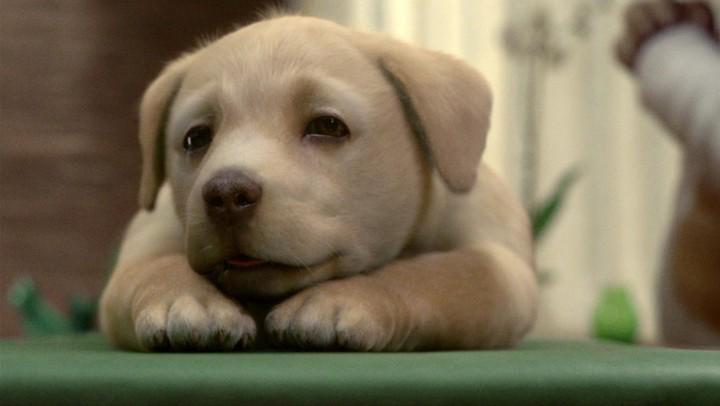 The Paperless Lavatory