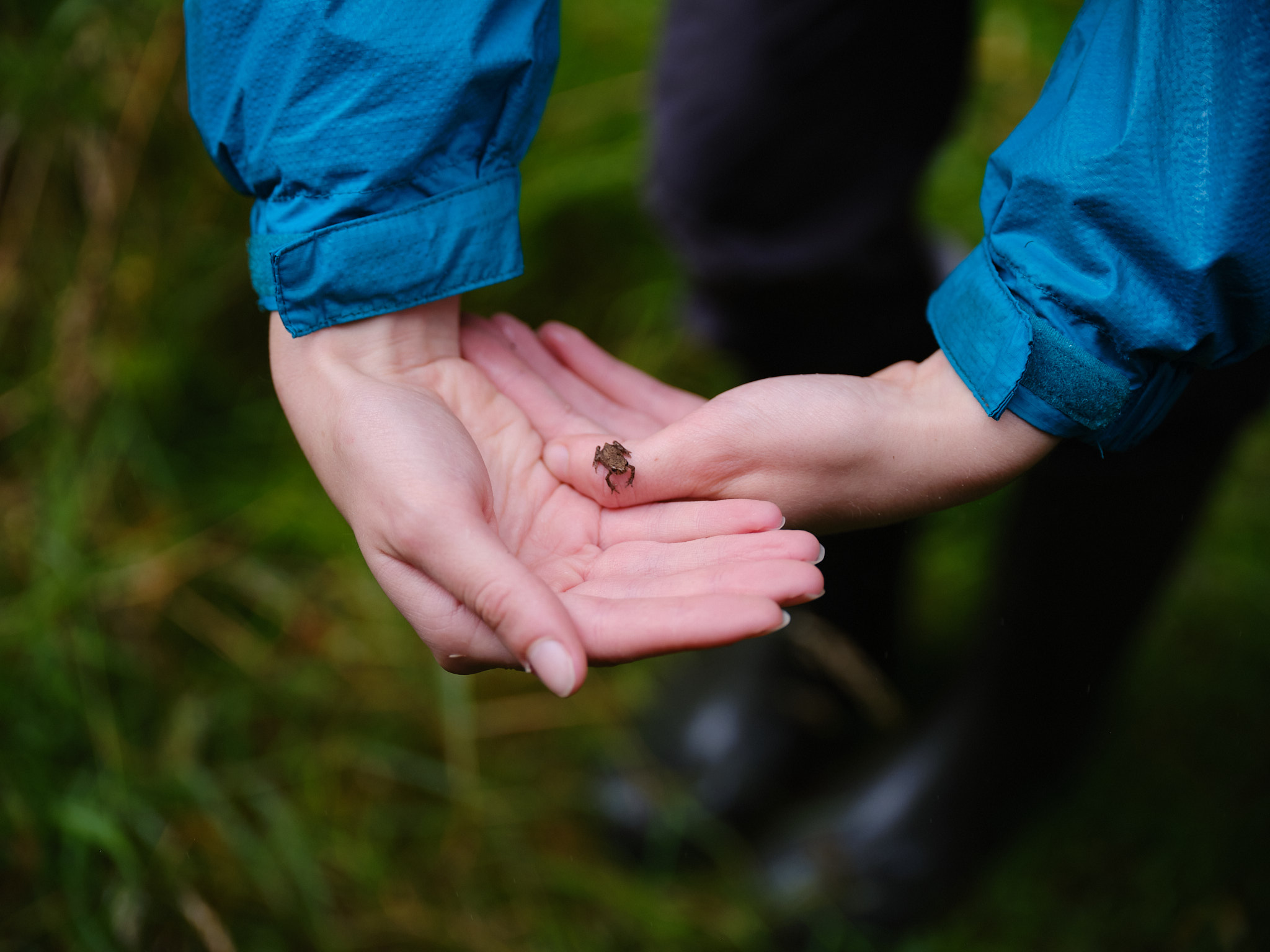 ©Andy Pilsbury, Custodians of the land: intergenerational nature restoration in Wales, shot for The Gaia Foundation's We Feed The UK campaign. Arts partner, Penpont Estate
