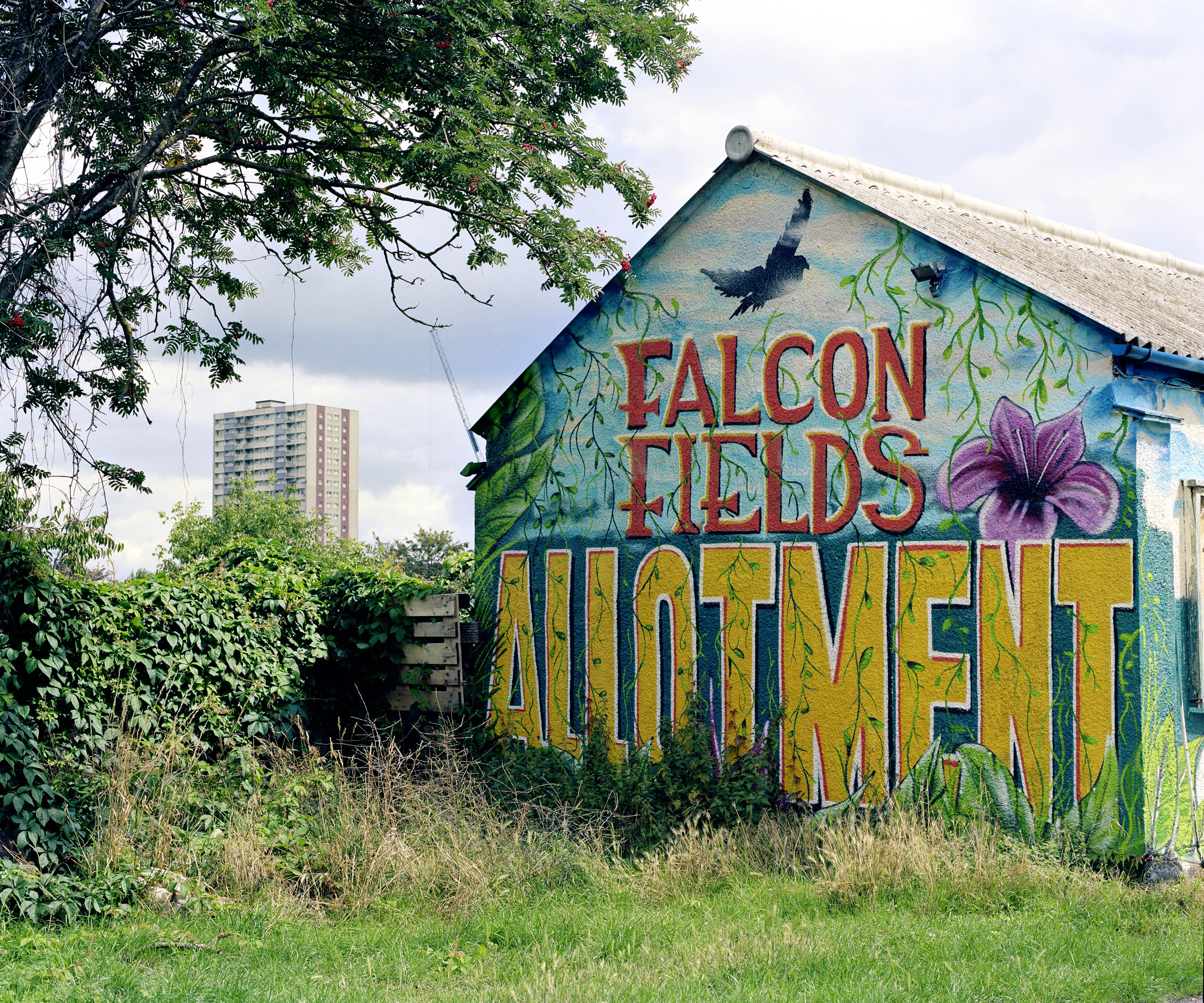 ©Arpita Shah, Falcon Fields Allotment, shot for The Gaia Foundation's We Feed The UK campaign. Arts Partner, Photo Fringe