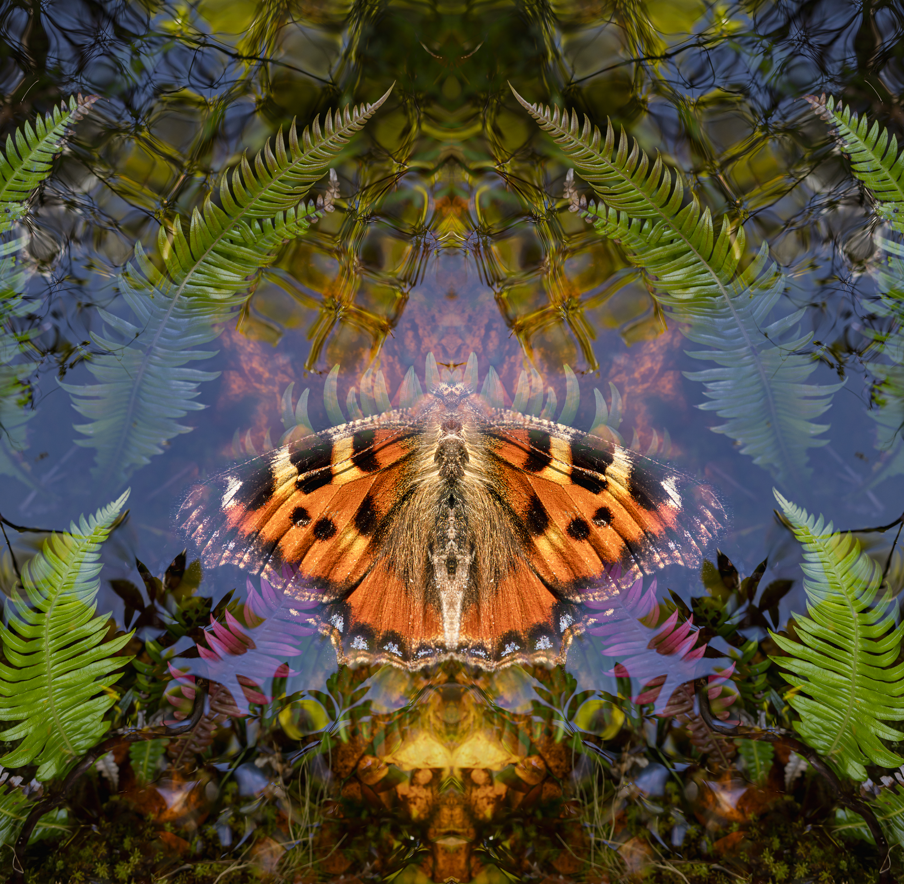 The impact of death denial on the environment