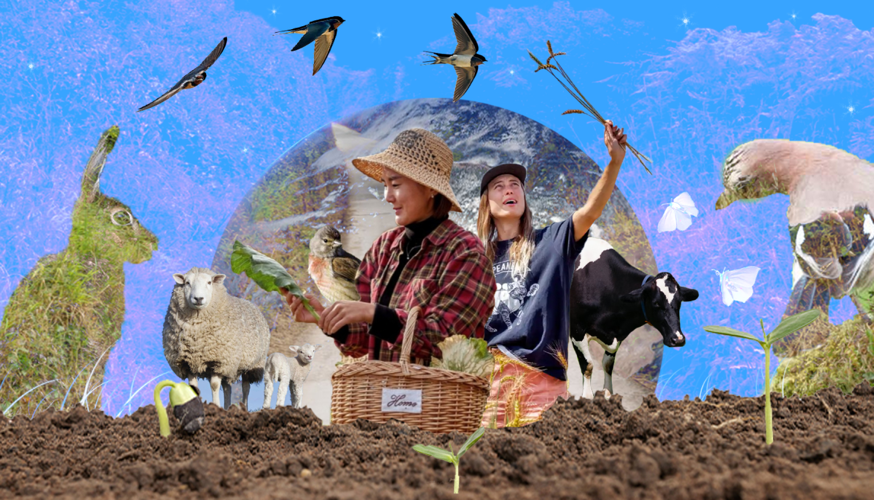 5 reasons to be cheerful about the future of British farming