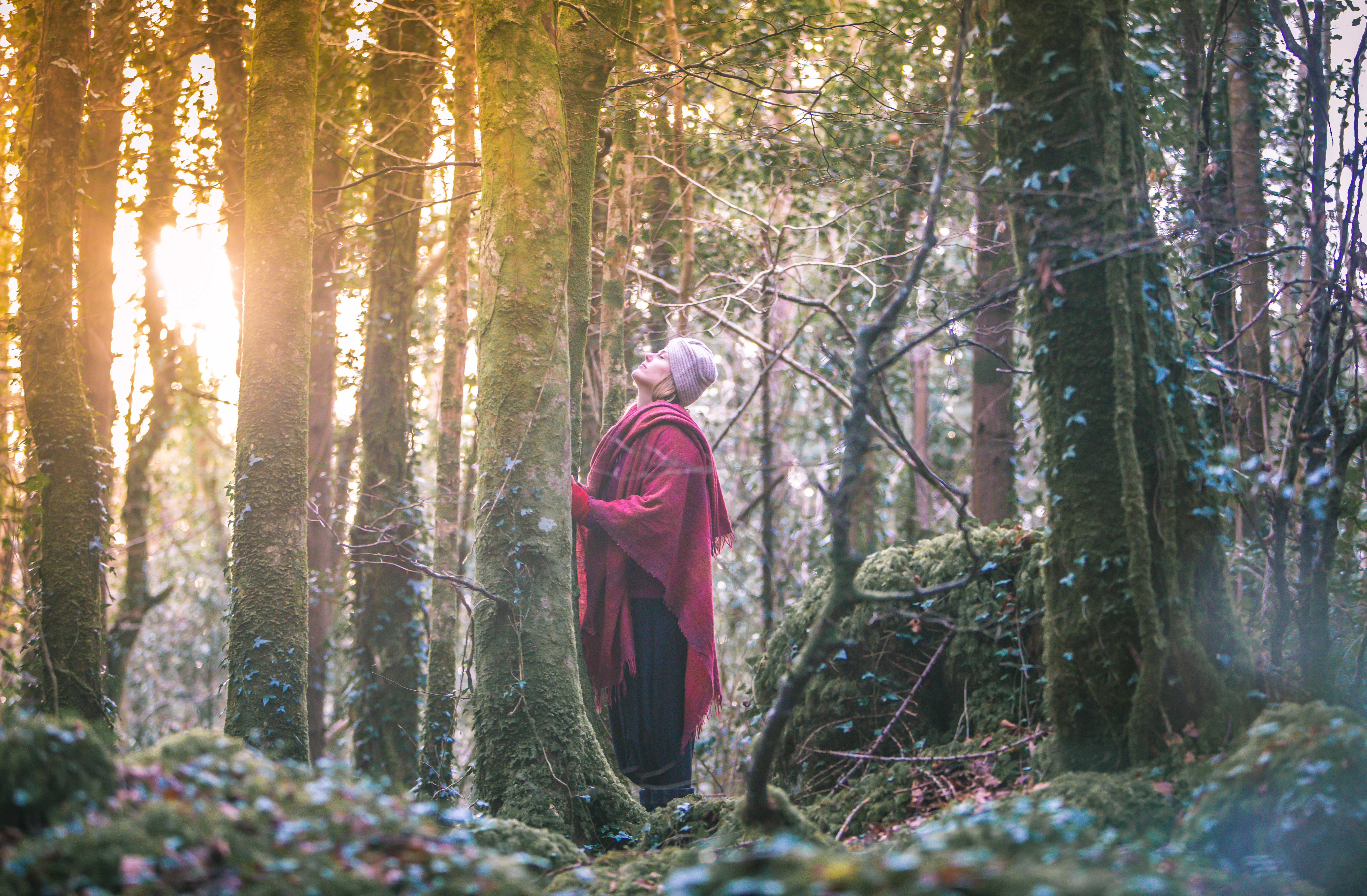 Is nature's wisdom the map for repairing our culture?