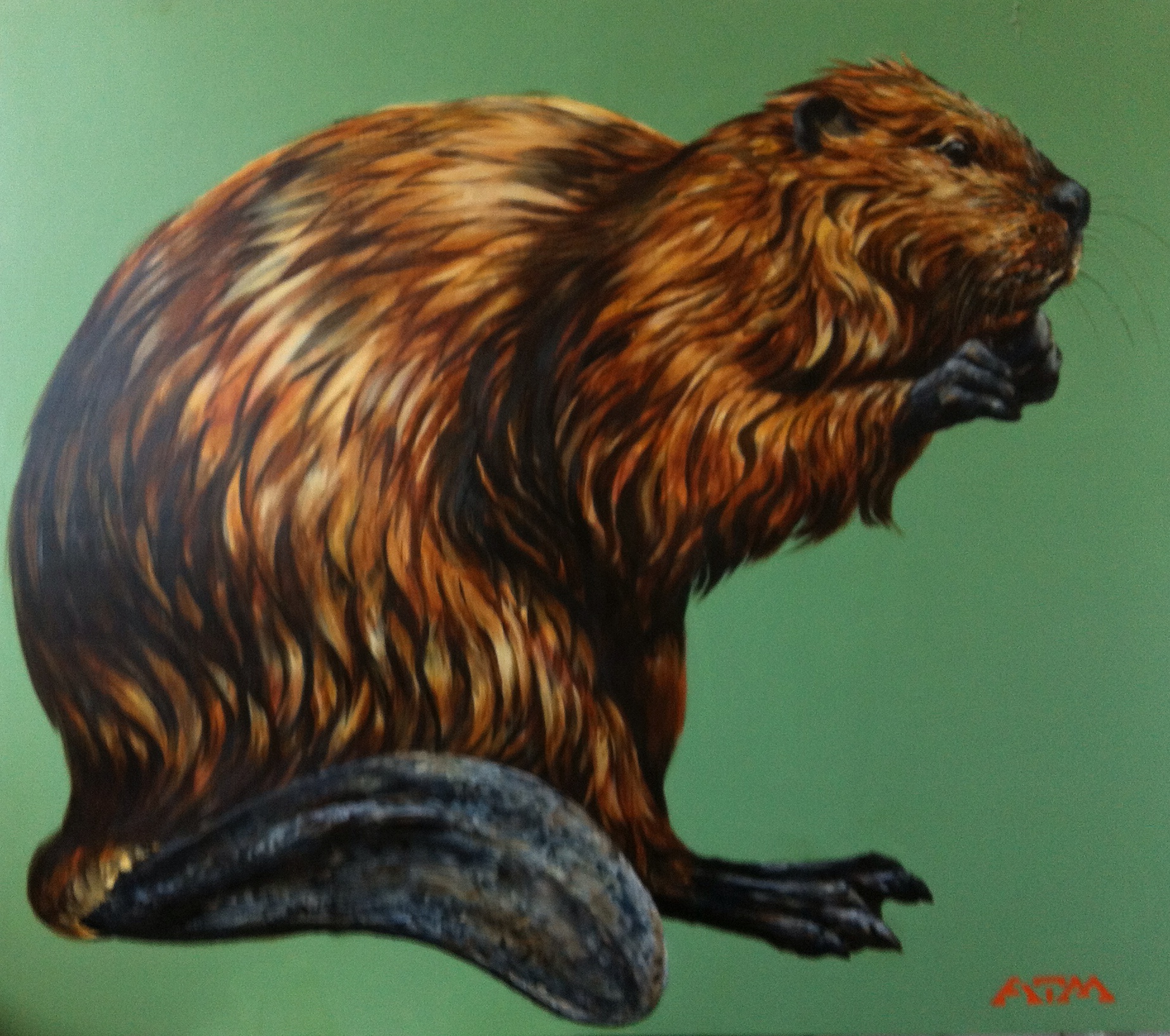 B﻿eaver art by ATM