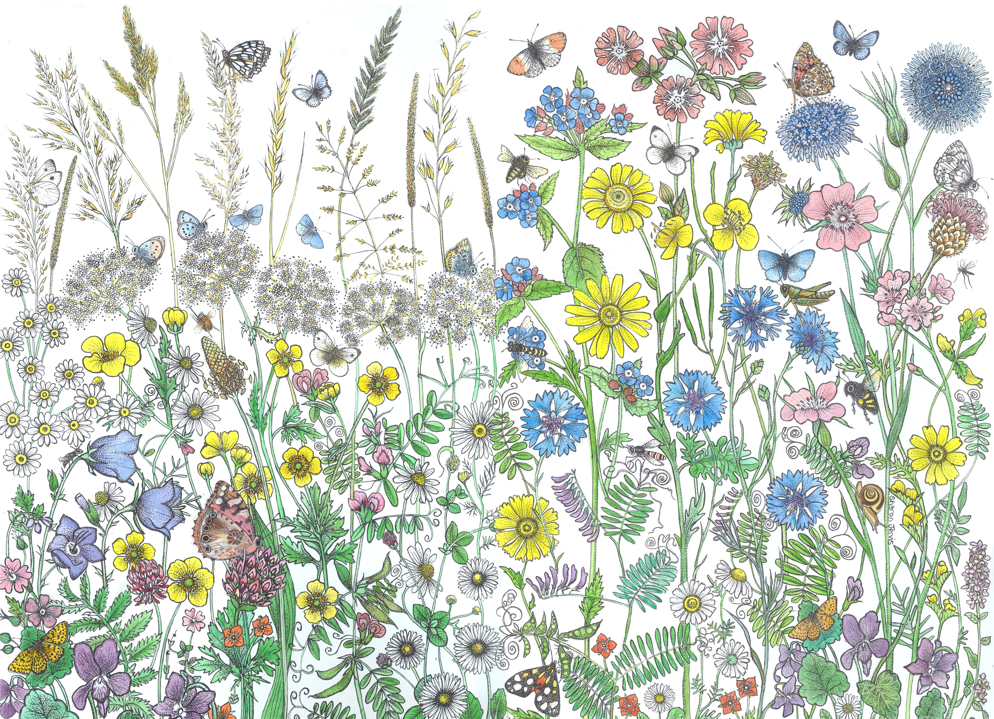 Shifting baseline syndrome