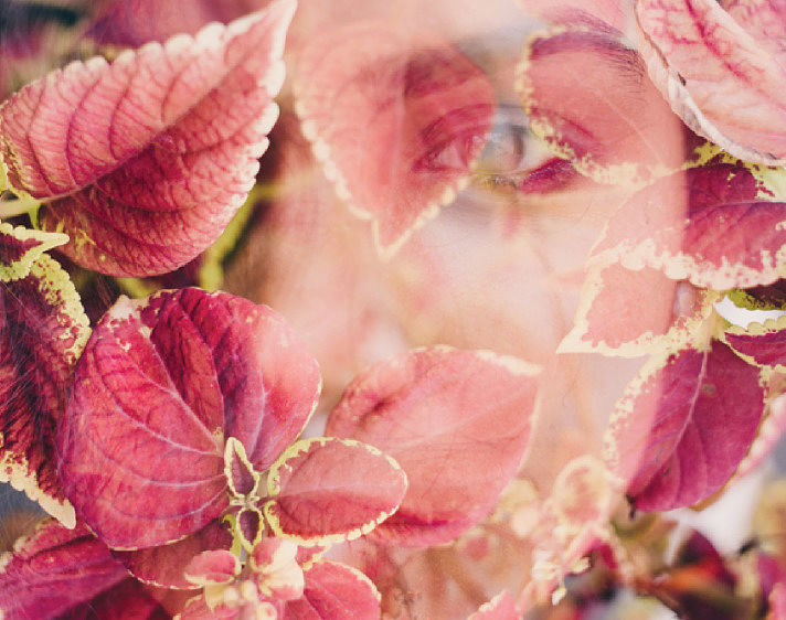 Women on Fire - the birth of TreeSisters