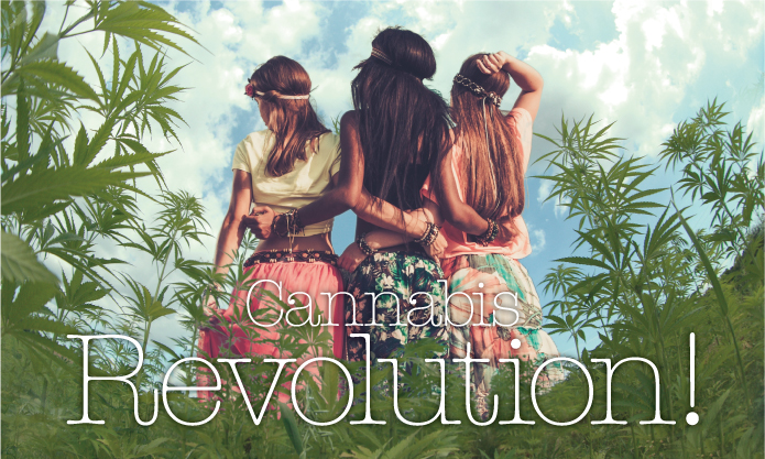 The Hempire Strikes Back