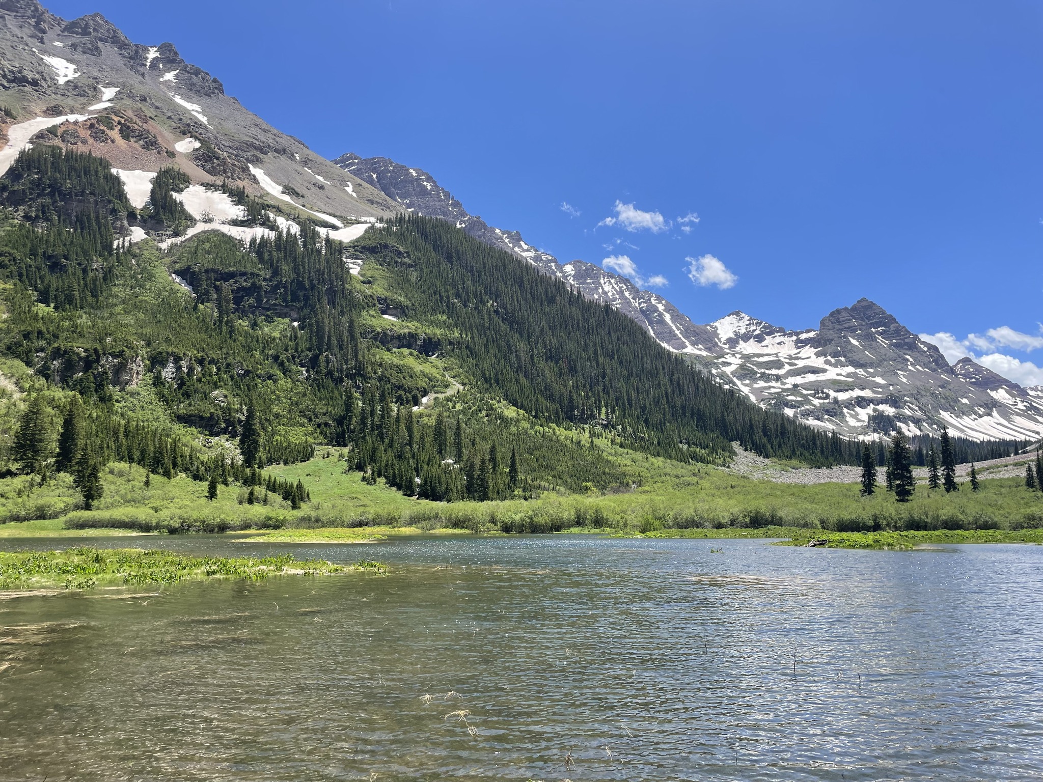Buzzing on biodiversity: how the quality of nature boosts our well-being
