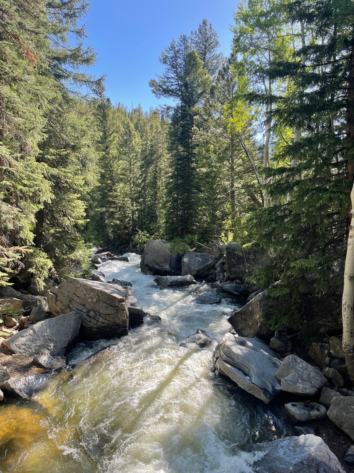 Example of nature in a relatively pristine state, in the Rockies, Colorado.