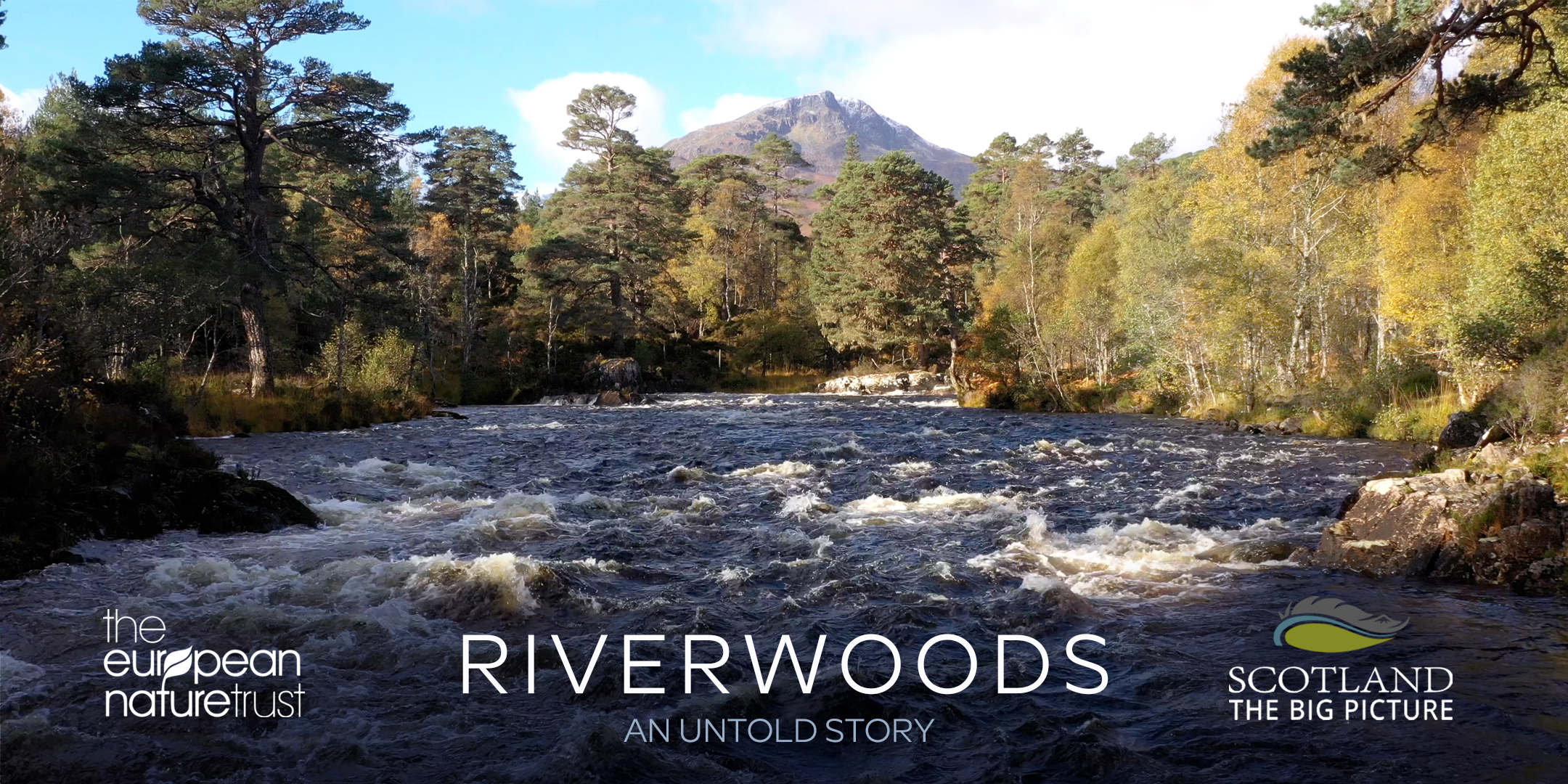 Riverwoods, the London premiere – ecological fundraising event at BFI