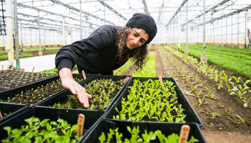 Farmacology - We Are Soil