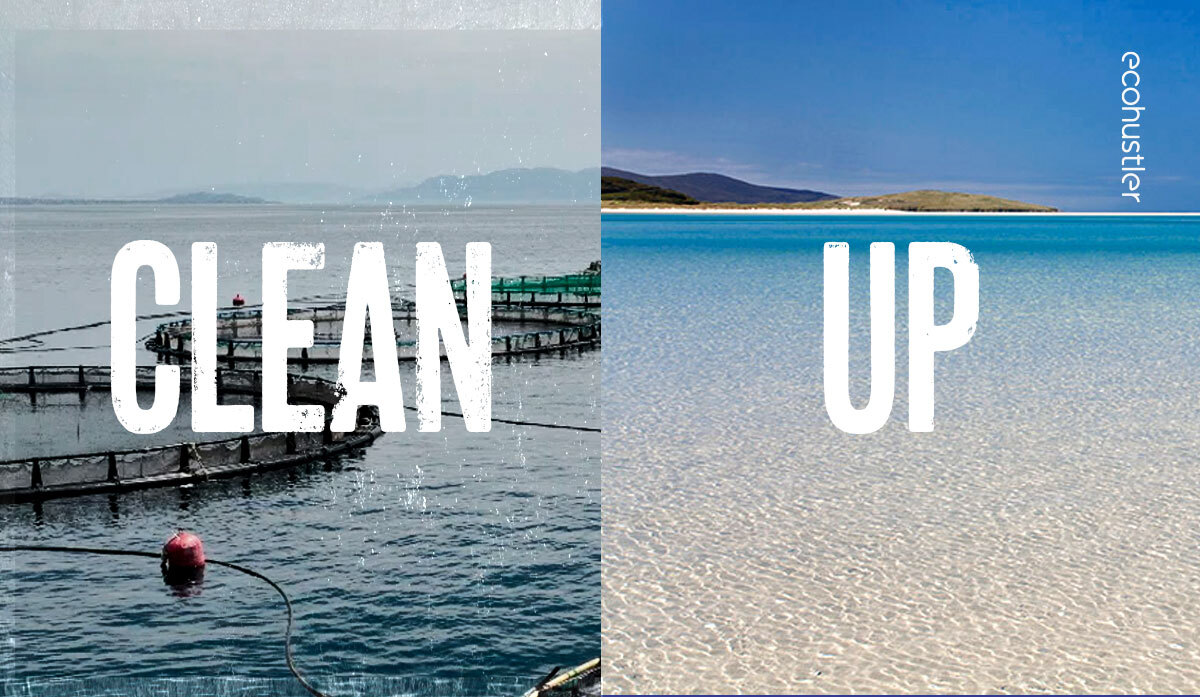 Submit a complaint to the ASA about dodgy M&S salmon ads