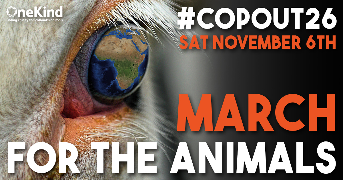 Scotland’s leading animal campaigns charity set to march for the animals at COP26 