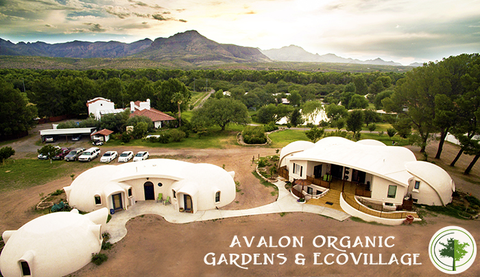 The Consciousness of Sustainability and Growing Organic Food