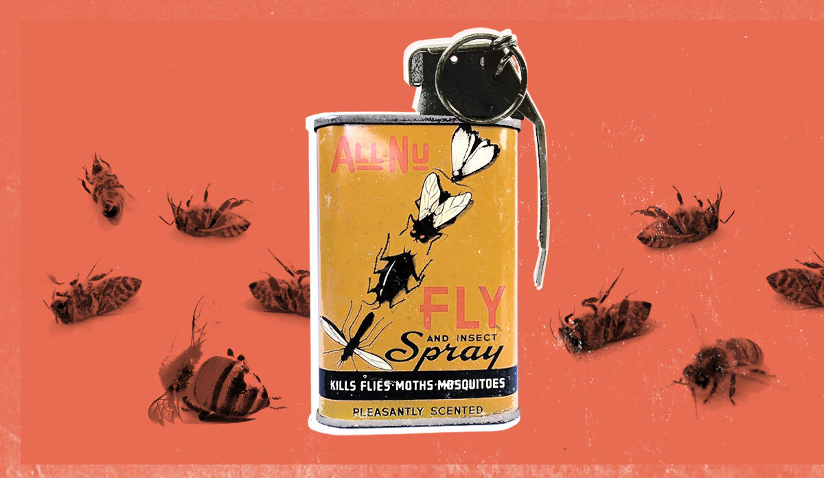 How to dispose of the toxic time bomb in your cupboard