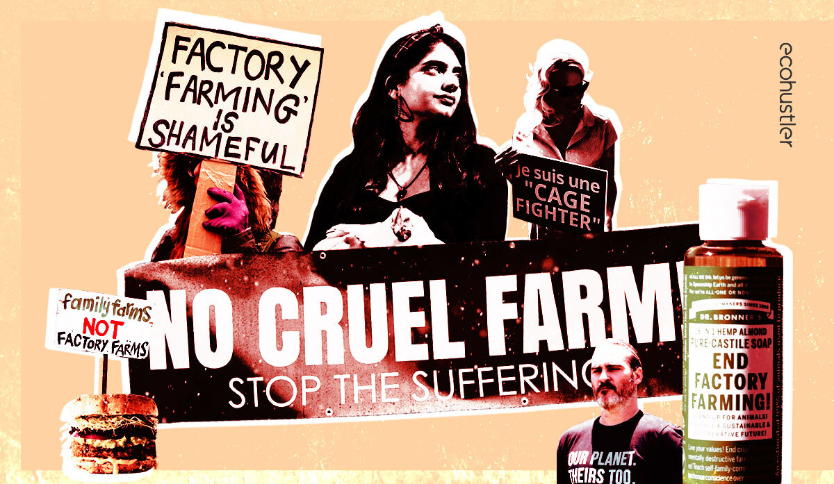 7 signs the people will defeat factory farming