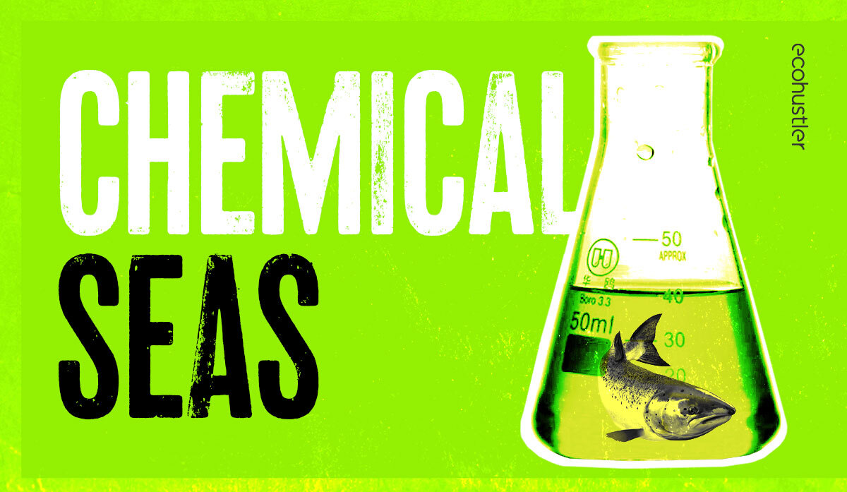 Chemical seas: the rise and fall of salmon pharming in Scotland