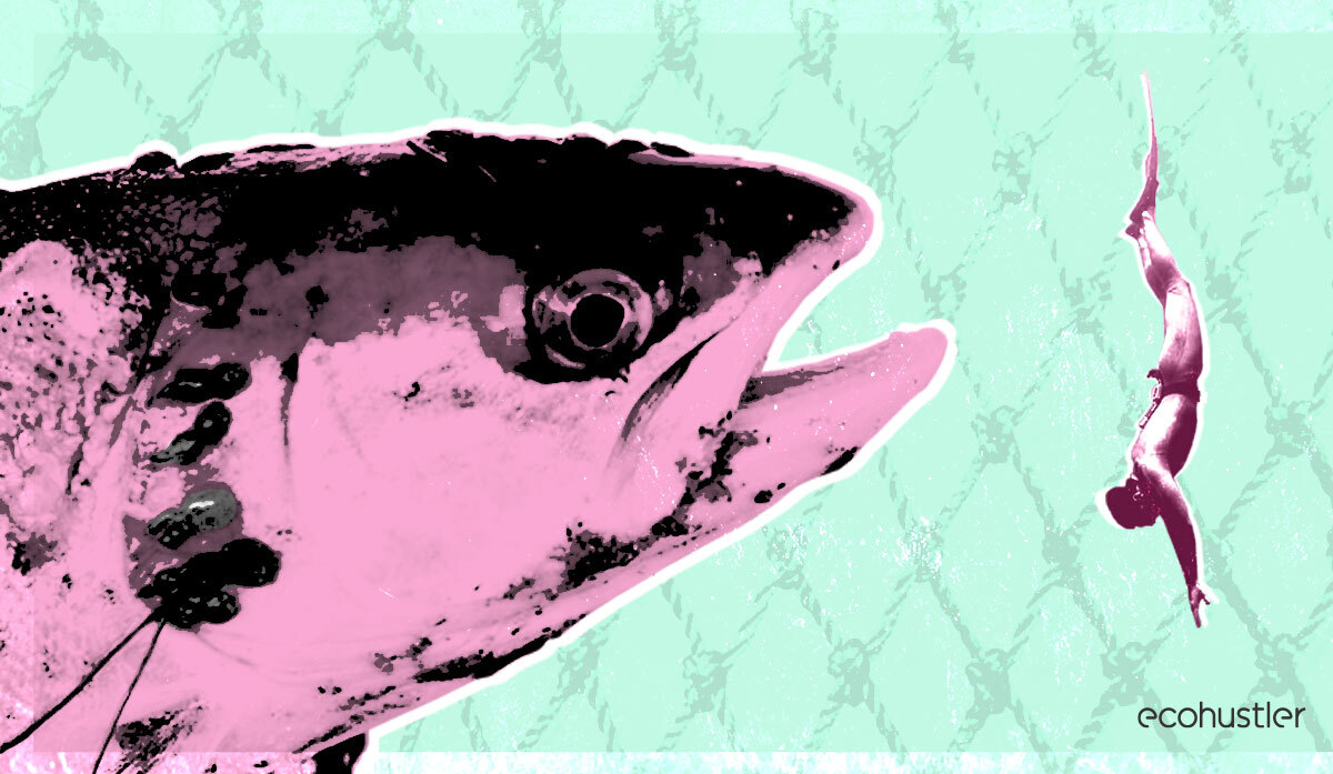 Loch, Stock and Salmon - an adventure to the wild west coast of Scotland