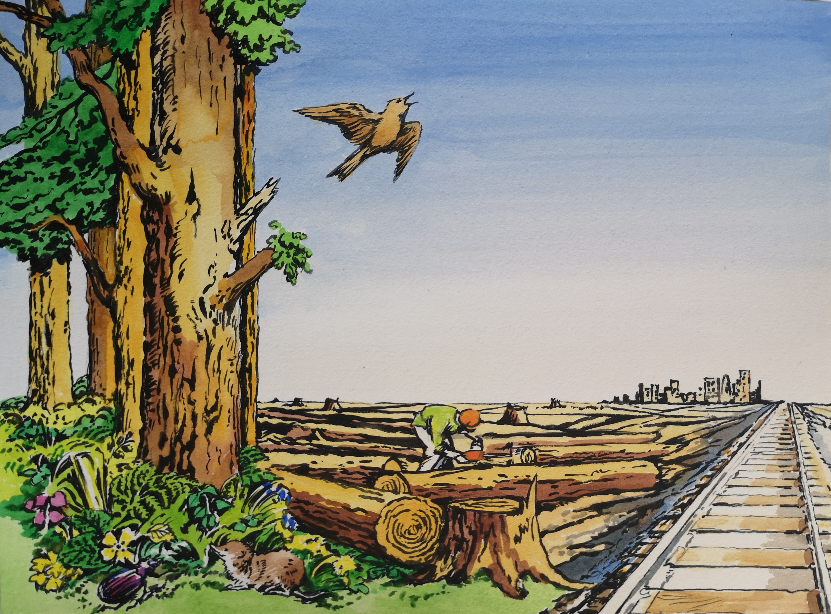 We the people save our ancient woodlands