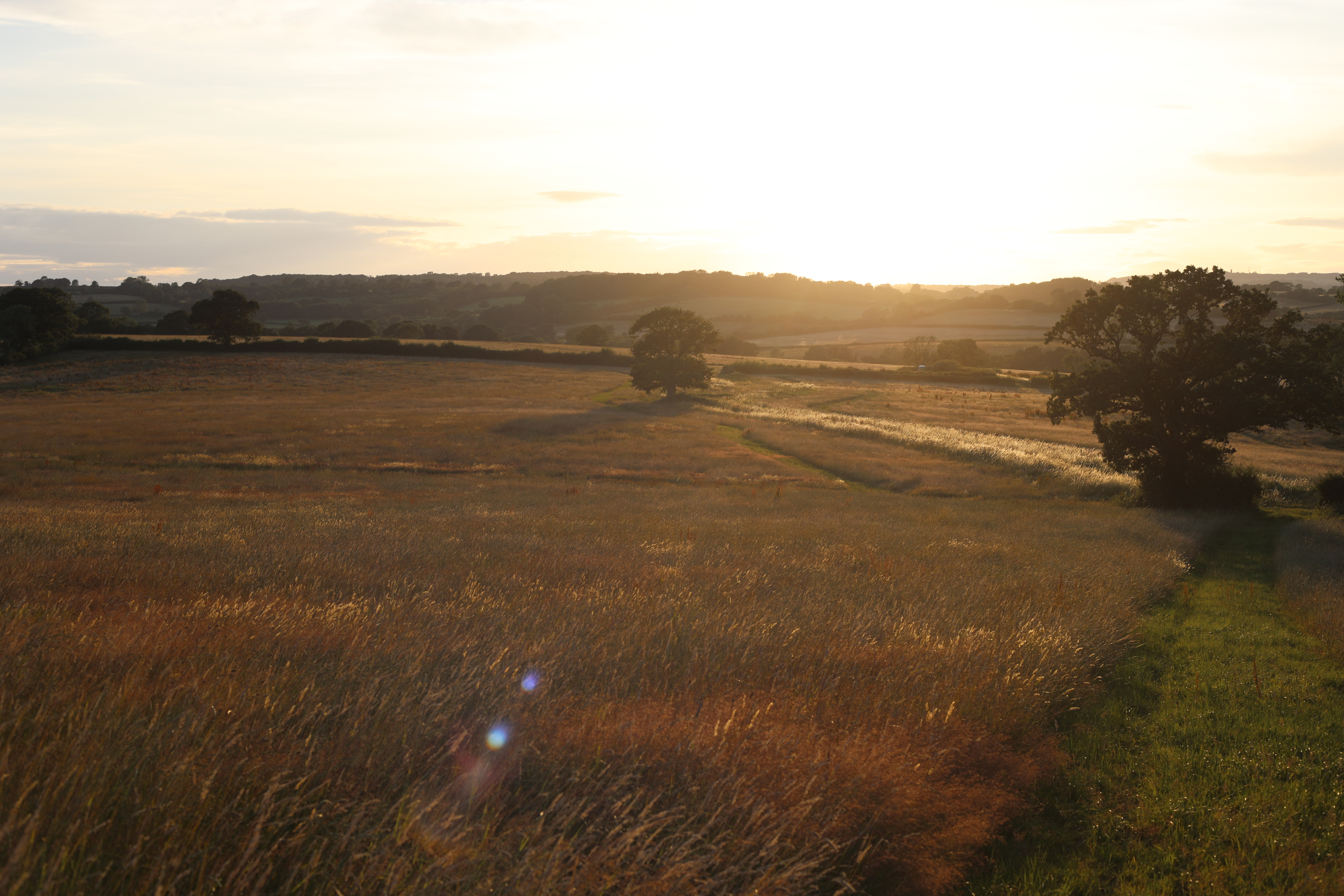 Heal Somerset by Isabelle Spring