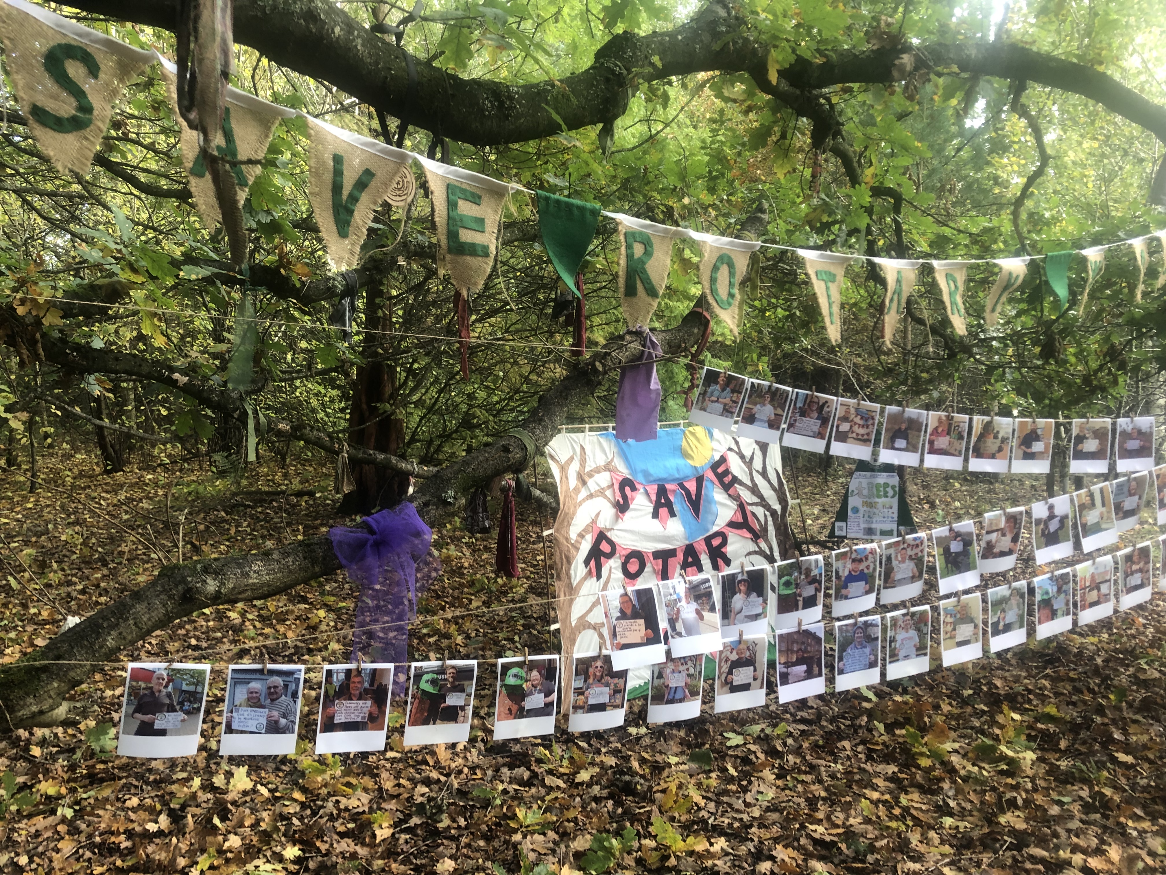 Danone under fire for attempting to destroy woodland planted by school children