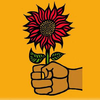 Visualizing a Plenitude Economy