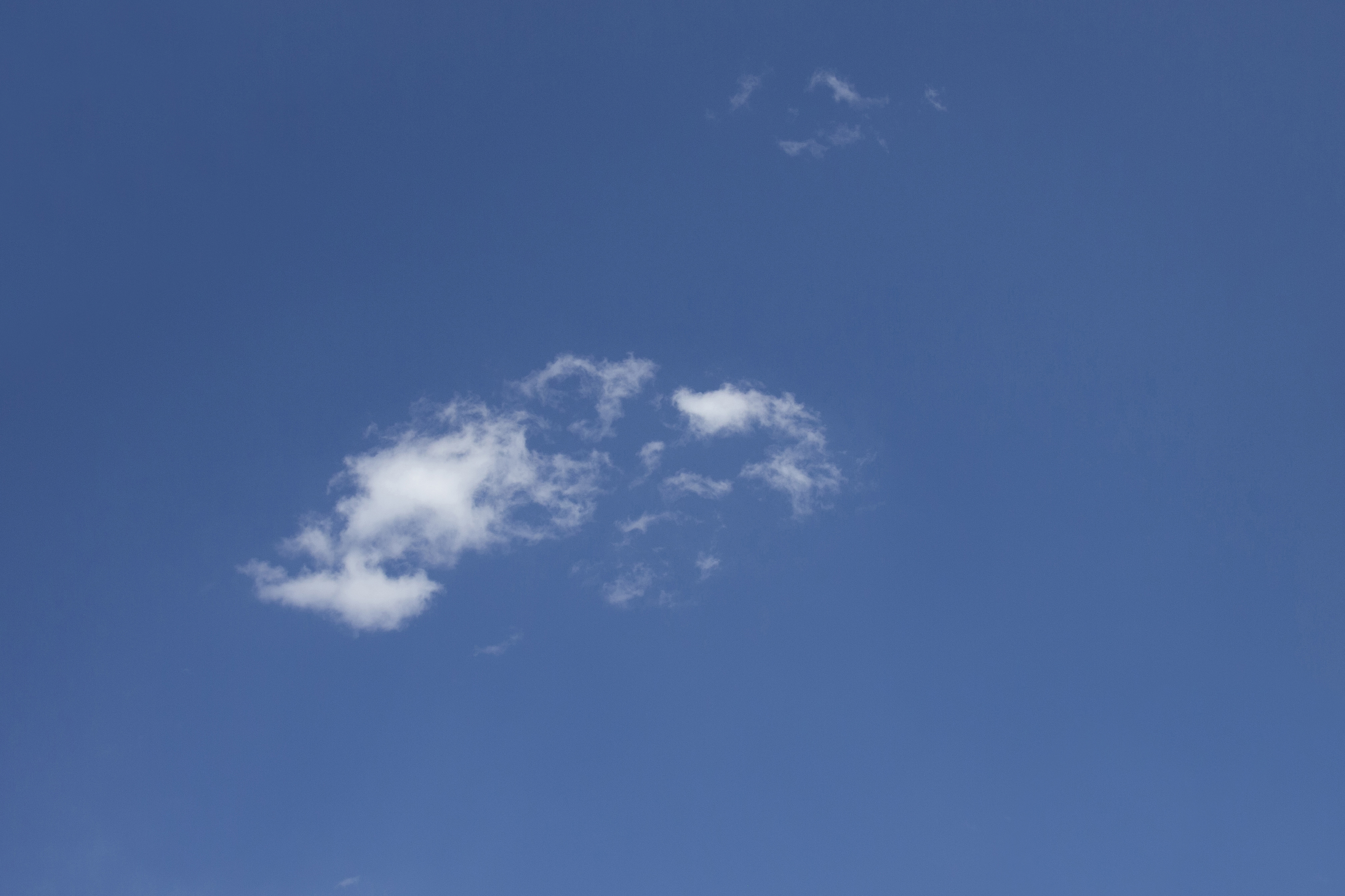 In The Air at Wellcome Collection