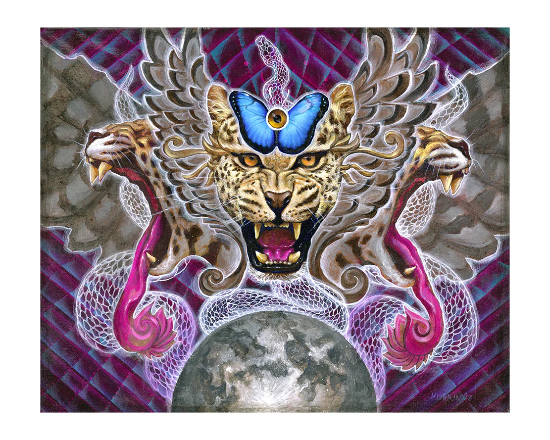 Conservation, culture and consciousness