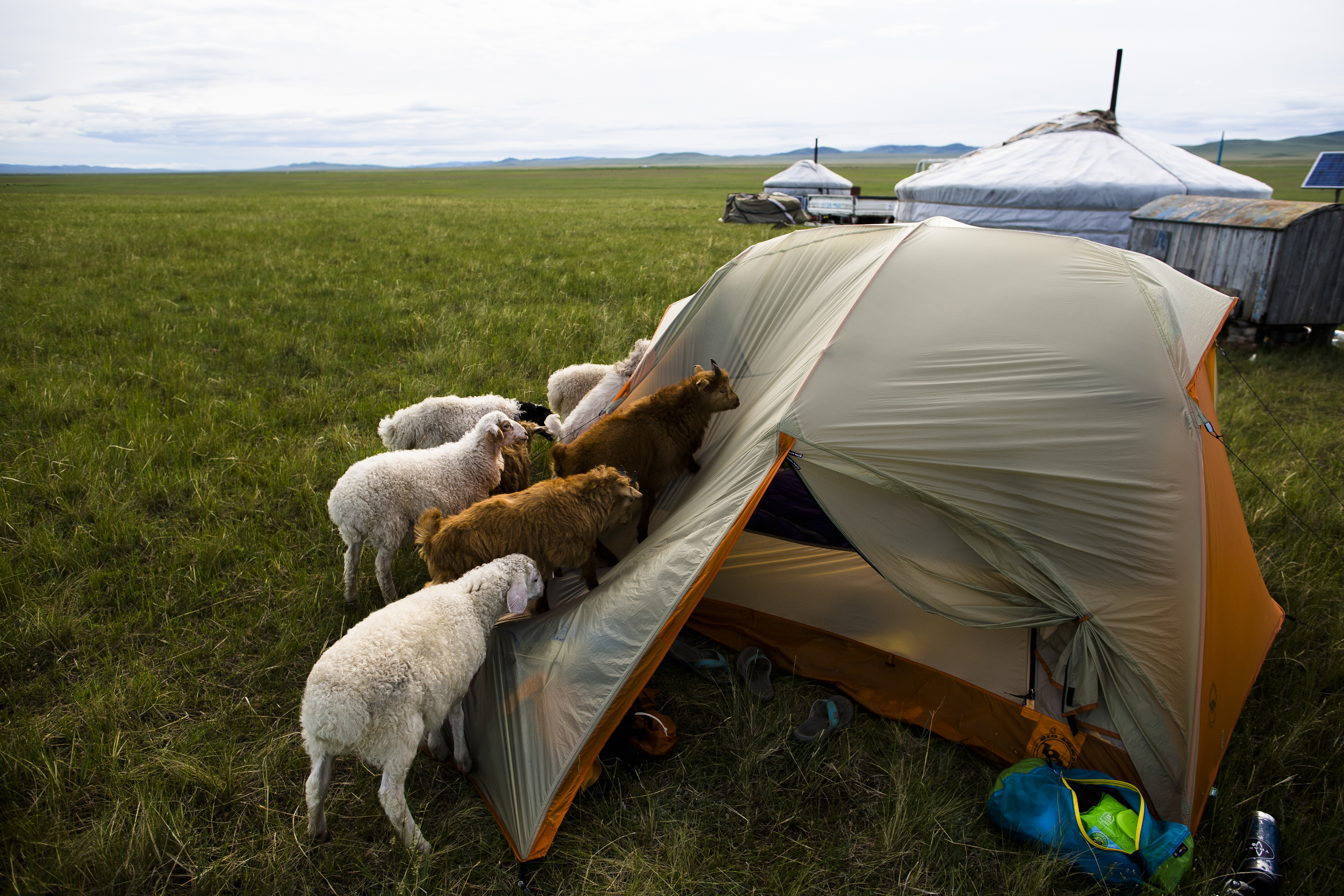 “Heart explosions of joy”: 5 eco photographers at work