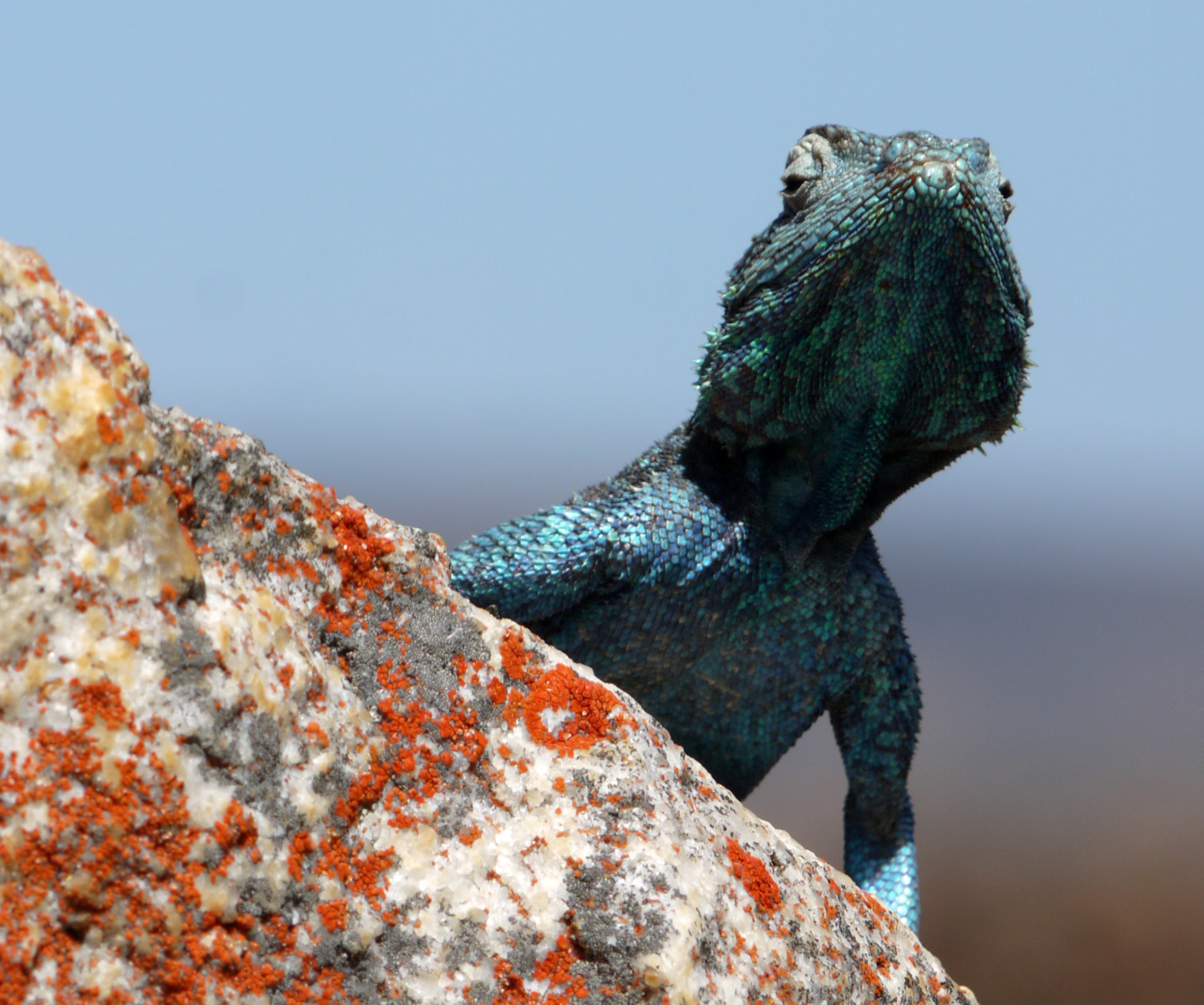 Can you control your climate obsession? The Sixth Mass Extinction is the major emergency we face