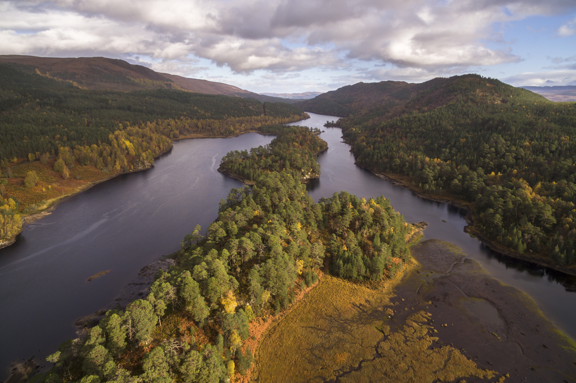 Three-quarters of Scots support rewilding 