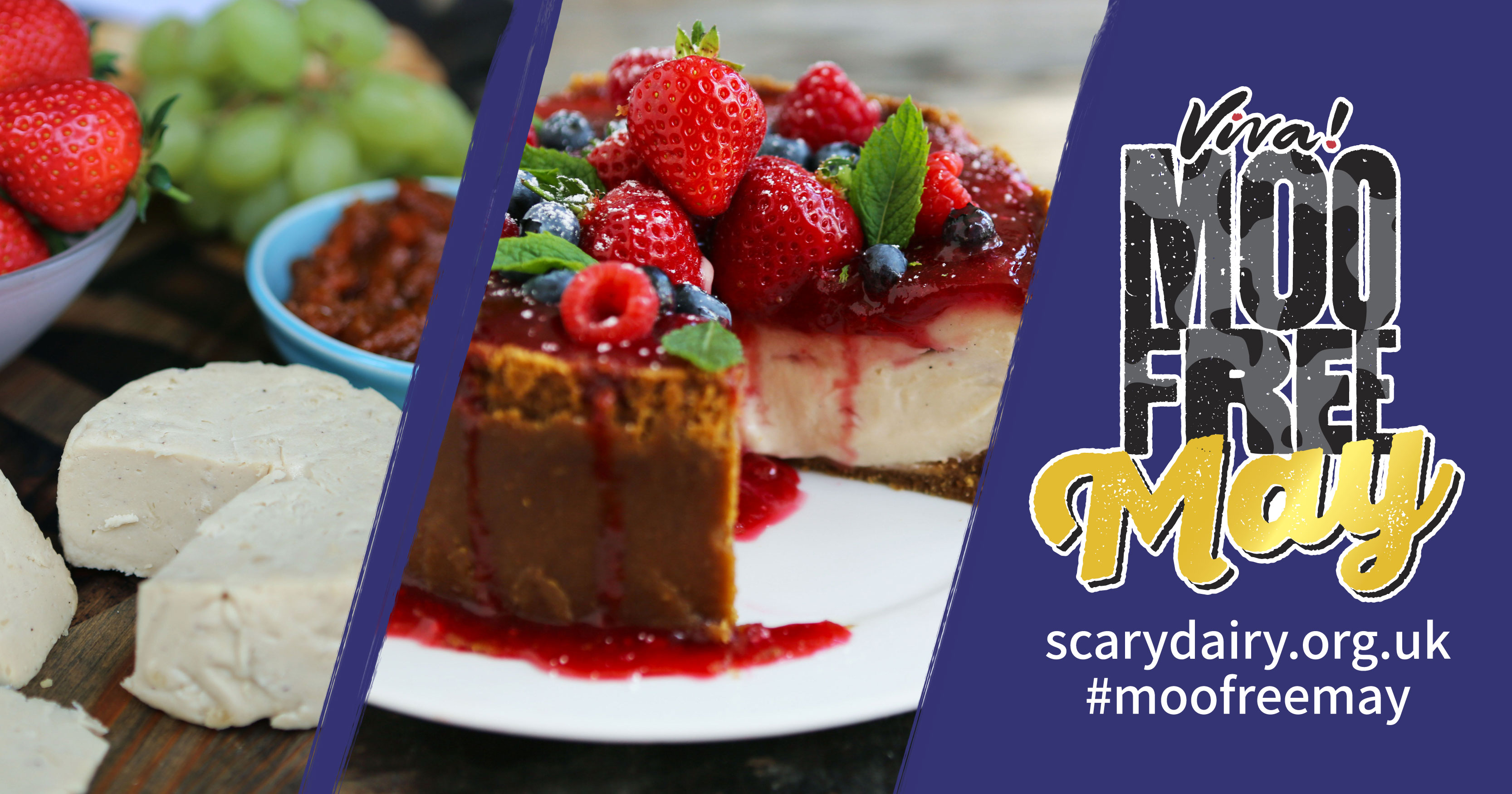 Call for Public to Ditch Dairy this MooFree May