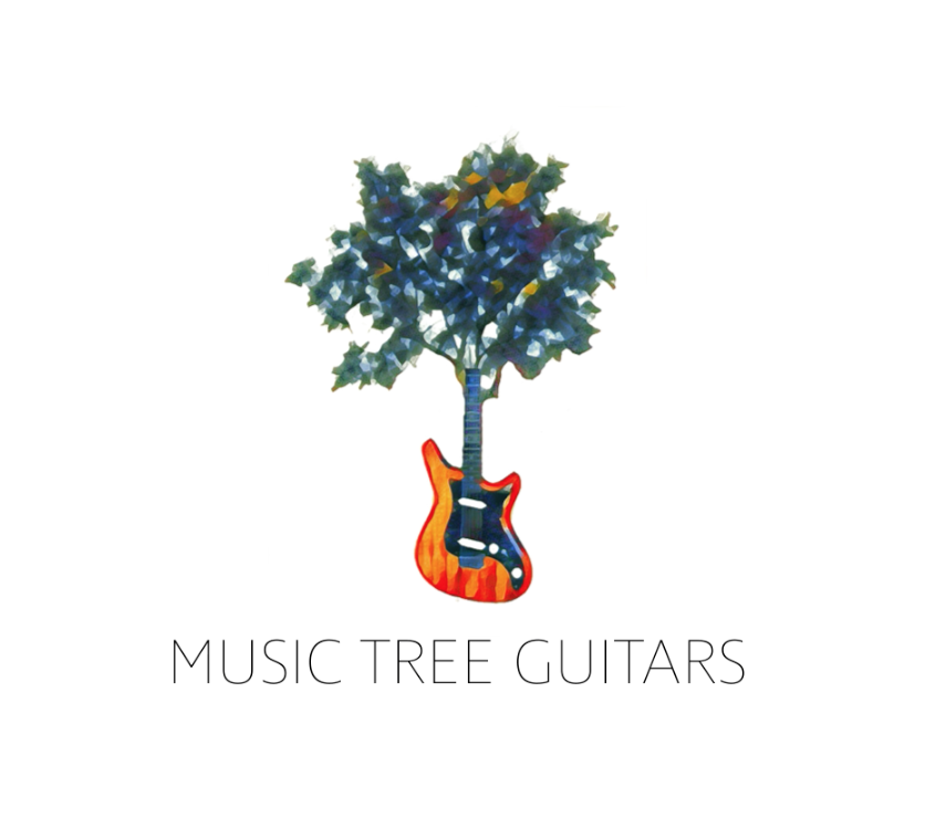 Music Tree Guitars Will Create New Livelihoods in Belize and Plant Thousands of Trees