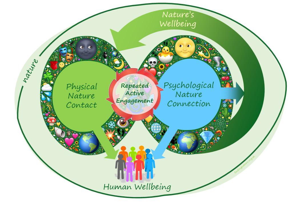 Figure expressing a representation of research findings pertaining to nature contact and connection, highlighting that both nature contact and connection benefit human wellbeing, but only nature connection benefits both people and nature. Image courtesy of Prof. Miles Richardson and his Finding Nature blogpost ‘Nature Contact is not Connection’