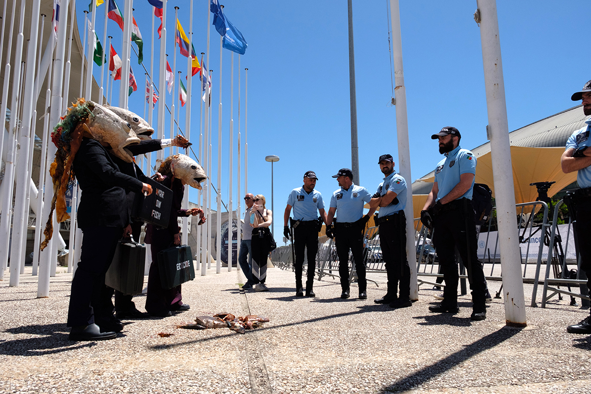 Ocean Rebellion Fish - photo credit - Joao Daniel Pereira