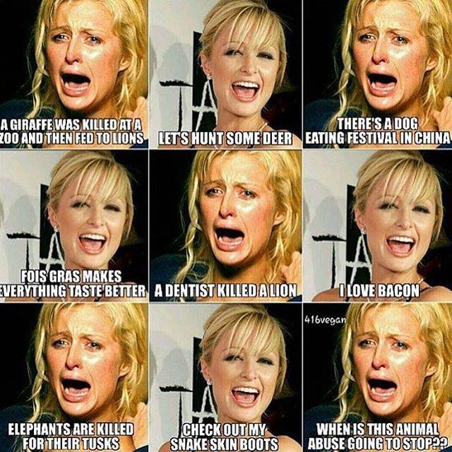 Western campaigns against the Yulin dog meat festival are racist, hypocritical and stupid