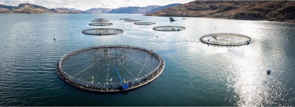 A salmon farm in the Isle of Skye - more than 70% of all salmon sold around the world is farmed at facilities like this.