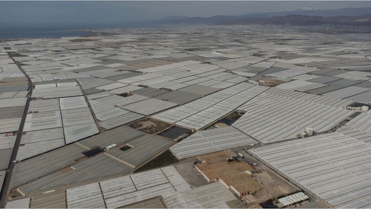 Almería in southern Spain has the highest concentration of greenhouses in the world - the 32,000 hectares of plastic-covered greenhouses is clearly visible from space.